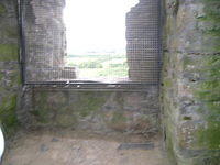 DSCN5296