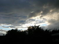 DSCN5309