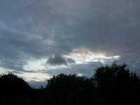 DSCN5310