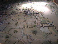 DSCN5315