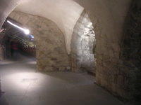 DSCN5331