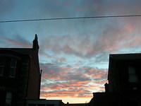 DSCN5350