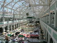 DSCN5391