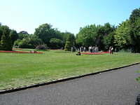 DSCN5392