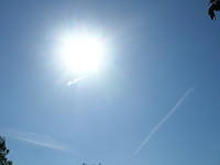 DSCN5393