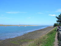 DSCN5396