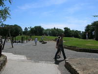 DSCN5397