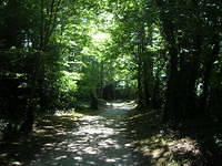 DSCN5420