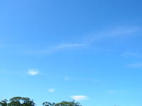 DSCN5434