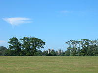 DSCN5447