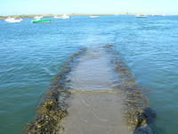 DSCN5455