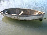 DSCN5456