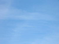 DSCN5471