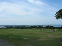 DSCN5487