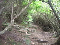 DSCN5490