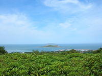 DSCN5491