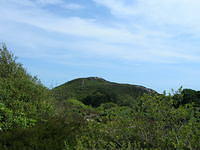 DSCN5496