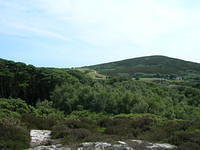 DSCN5497