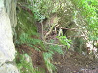 DSCN5501