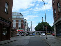 DSCN5521