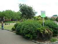 DSCN5613