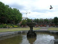 DSCN5616
