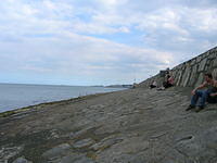DSCN5636