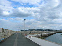 DSCN5644