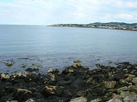 DSCN5647