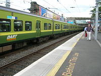 DSCN5656