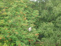DSCN5695