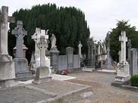 DSCN5724
