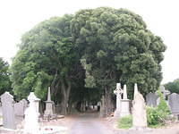 DSCN5727