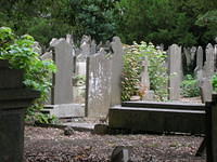 DSCN5728
