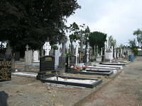DSCN5733
