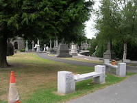 DSCN5739