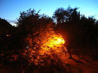 DSCN5846