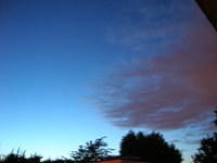 DSCN5847
