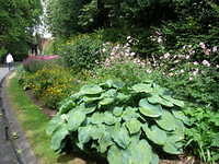 DSCN5867