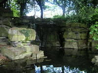 DSCN5871