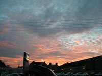 DSCN6028