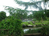DSCN8402
