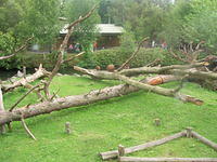 DSCN8404
