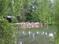 DSCN8417
