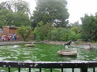 DSCN8419