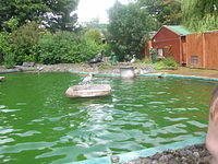 DSCN8425