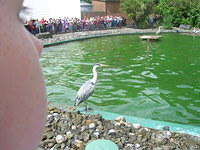 DSCN8428