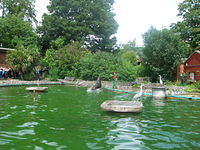 DSCN8429