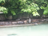 DSCN8432