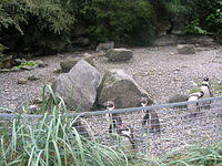 DSCN8434